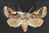  ( - NOC14379)  @14 [ ] Unspecified (default): All Rights Reserved  Unspecified Unspecified