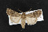  ( - NOC14383)  @11 [ ] Unspecified (default): All Rights Reserved  Unspecified Unspecified
