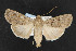  ( - NOC14384)  @14 [ ] Unspecified (default): All Rights Reserved  Unspecified Unspecified