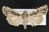 ( - NOC14393)  @11 [ ] Unspecified (default): All Rights Reserved  Unspecified Unspecified