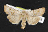  ( - NOC14407)  @13 [ ] Unspecified (default): All Rights Reserved  Unspecified Unspecified