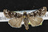  ( - NOC14409)  @13 [ ] Unspecified (default): All Rights Reserved  Unspecified Unspecified