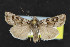  ( - NOC14411)  @12 [ ] Unspecified (default): All Rights Reserved  Unspecified Unspecified