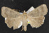  ( - NOC14426)  @13 [ ] Unspecified (default): All Rights Reserved  Unspecified Unspecified