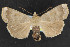  ( - NOC14427)  @12 [ ] Unspecified (default): All Rights Reserved  Unspecified Unspecified
