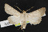  ( - NOC14428)  @13 [ ] Unspecified (default): All Rights Reserved  Unspecified Unspecified