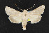  ( - NOC14429)  @15 [ ] Unspecified (default): All Rights Reserved  Unspecified Unspecified