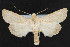  (Anarta edwardsii - NOC14430)  @15 [ ] Unspecified (default): All Rights Reserved  Unspecified Unspecified