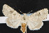  ( - NOC14431)  @14 [ ] Unspecified (default): All Rights Reserved  Unspecified Unspecified