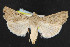  ( - NOC14433)  @14 [ ] Unspecified (default): All Rights Reserved  Unspecified Unspecified