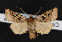  ( - NOC14439)  @14 [ ] Unspecified (default): All Rights Reserved  Unspecified Unspecified