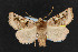  ( - NOC14440)  @13 [ ] Unspecified (default): All Rights Reserved  Unspecified Unspecified