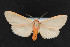  ( - NOC14479)  @14 [ ] Unspecified (default): All Rights Reserved  Unspecified Unspecified