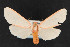  ( - NOC14481)  @12 [ ] Unspecified (default): All Rights Reserved  Unspecified Unspecified