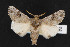  ( - NOC14487)  @14 [ ] Unspecified (default): All Rights Reserved  Unspecified Unspecified