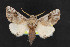  ( - NOC14488)  @14 [ ] Unspecified (default): All Rights Reserved  Unspecified Unspecified