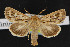  ( - NOC14524)  @14 [ ] Unspecified (default): All Rights Reserved  Unspecified Unspecified