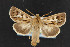  ( - NOC14525)  @13 [ ] Unspecified (default): All Rights Reserved  Unspecified Unspecified