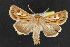  ( - NOC14526)  @14 [ ] Unspecified (default): All Rights Reserved  Unspecified Unspecified