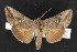  ( - NOC14529)  @12 [ ] Unspecified (default): All Rights Reserved  Unspecified Unspecified