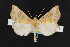  (Pseudeva - NOC14530)  @15 [ ] Unspecified (default): All Rights Reserved  Unspecified Unspecified
