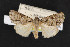  ( - NOC14531)  @11 [ ] Unspecified (default): All Rights Reserved  Unspecified Unspecified