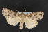  ( - NOC14532)  @11 [ ] Unspecified (default): All Rights Reserved  Unspecified Unspecified