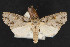 ( - NOC14534)  @11 [ ] Unspecified (default): All Rights Reserved  Unspecified Unspecified