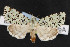  ( - NOC14535)  @14 [ ] Unspecified (default): All Rights Reserved  Unspecified Unspecified