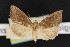  ( - NOC14550)  @11 [ ] Unspecified (default): All Rights Reserved  Unspecified Unspecified