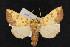  ( - NOC14558)  @11 [ ] Unspecified (default): All Rights Reserved  Unspecified Unspecified