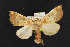  ( - NOC14559)  @13 [ ] Unspecified (default): All Rights Reserved  Unspecified Unspecified