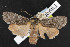  ( - NOC14564)  @11 [ ] Unspecified (default): All Rights Reserved  Unspecified Unspecified