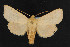  ( - NOC14569)  @11 [ ] Unspecified (default): All Rights Reserved  Unspecified Unspecified