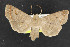  ( - NOC14573)  @14 [ ] Unspecified (default): All Rights Reserved  Unspecified Unspecified
