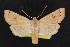  ( - NOC14575)  @11 [ ] Unspecified (default): All Rights Reserved  Unspecified Unspecified