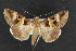  ( - NOC14588)  @14 [ ] Unspecified (default): All Rights Reserved  Unspecified Unspecified