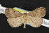  ( - NOC14609)  @13 [ ] Unspecified (default): All Rights Reserved  Unspecified Unspecified
