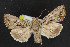  ( - NOC14625)  @13 [ ] Unspecified (default): All Rights Reserved  Unspecified Unspecified
