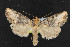  (Admetovis sp - NOC14627)  @14 [ ] Unspecified (default): All Rights Reserved  Unspecified Unspecified