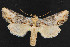  ( - NOC14628)  @14 [ ] Unspecified (default): All Rights Reserved  Unspecified Unspecified