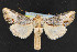  ( - NOC14630)  @14 [ ] Unspecified (default): All Rights Reserved  Unspecified Unspecified