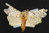  ( - NOC14638)  @11 [ ] Unspecified (default): All Rights Reserved  Unspecified Unspecified