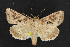  ( - NOC14641)  @14 [ ] Unspecified (default): All Rights Reserved  Unspecified Unspecified
