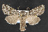  ( - NOC14667)  @14 [ ] Unspecified (default): All Rights Reserved  Unspecified Unspecified