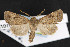  ( - NOC14677)  @13 [ ] Unspecified (default): All Rights Reserved  Unspecified Unspecified