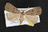  ( - NOC14690)  @13 [ ] Unspecified (default): All Rights Reserved  Unspecified Unspecified