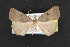  ( - NOC14691)  @13 [ ] Unspecified (default): All Rights Reserved  Unspecified Unspecified