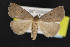  ( - NOC14692)  @12 [ ] Unspecified (default): All Rights Reserved  Unspecified Unspecified