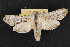  ( - NOC14703)  @14 [ ] Unspecified (default): All Rights Reserved  Unspecified Unspecified